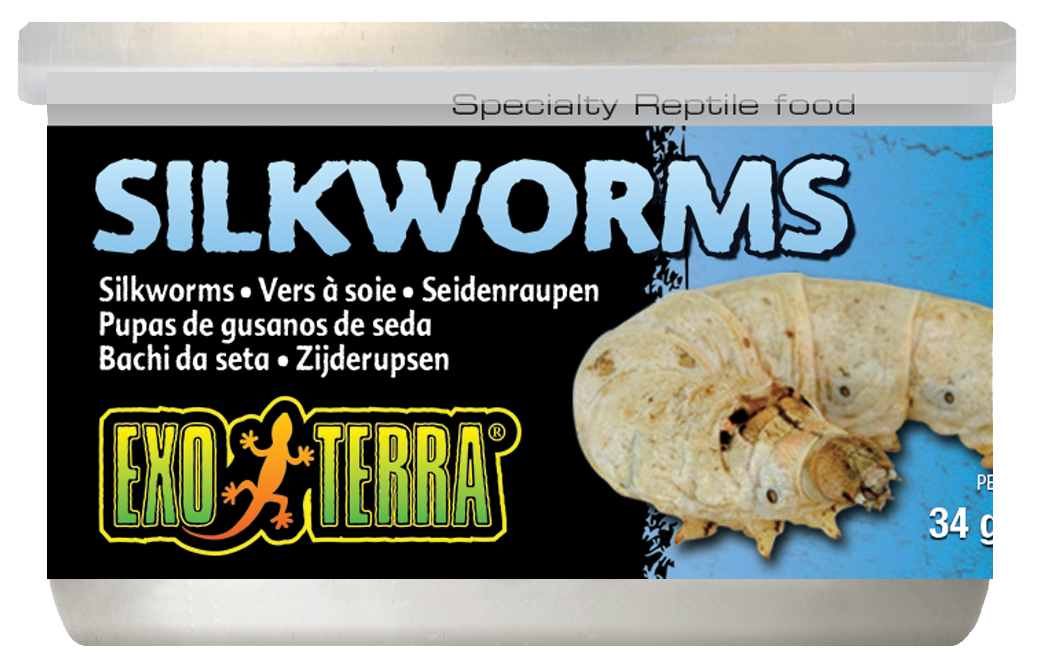 Exo Terra - Silkworms