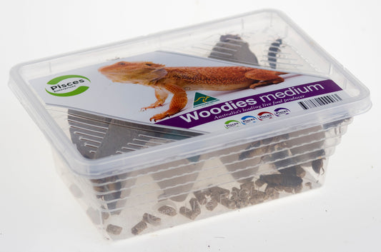 Pisces - Woodies Tub (Medium)