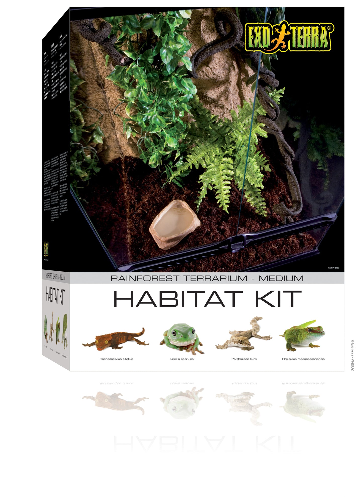 Exo Terra - Rainforest Terrarium Habitat Kit (45 x 45 x 60cm)