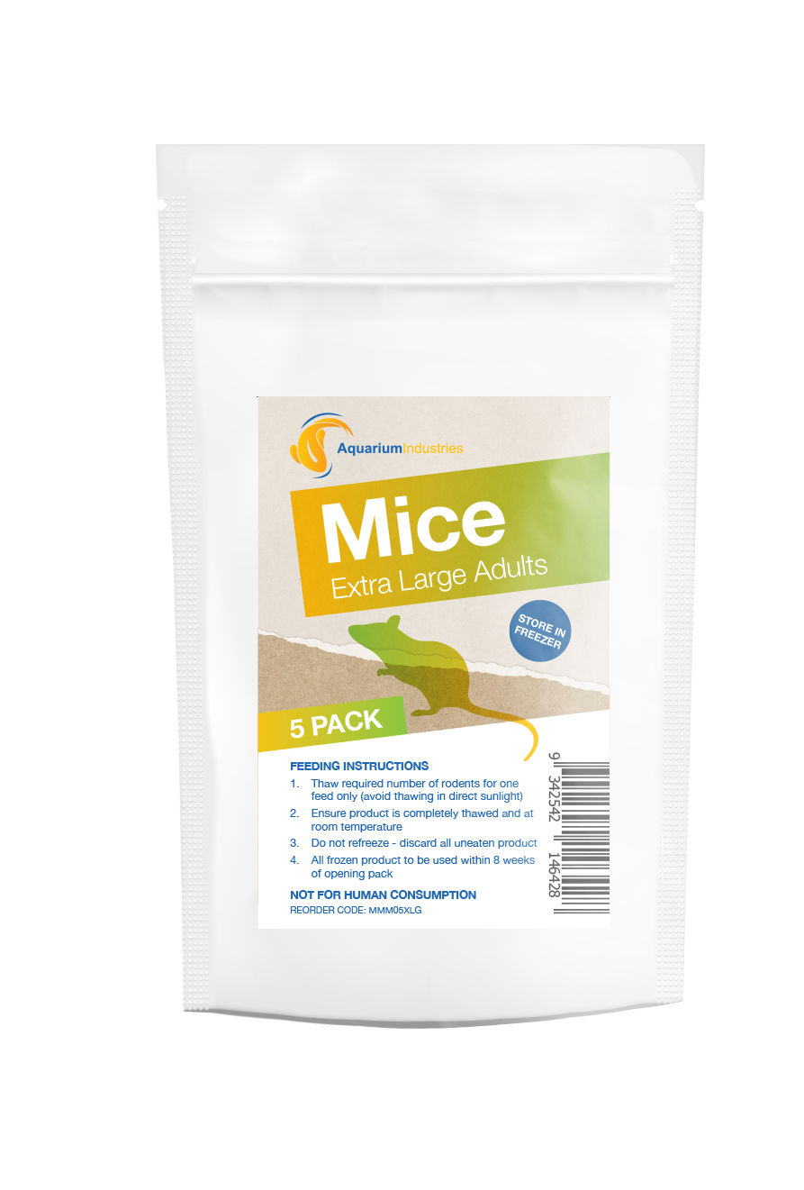 Frozen Mice X-Large Adults (5pk)