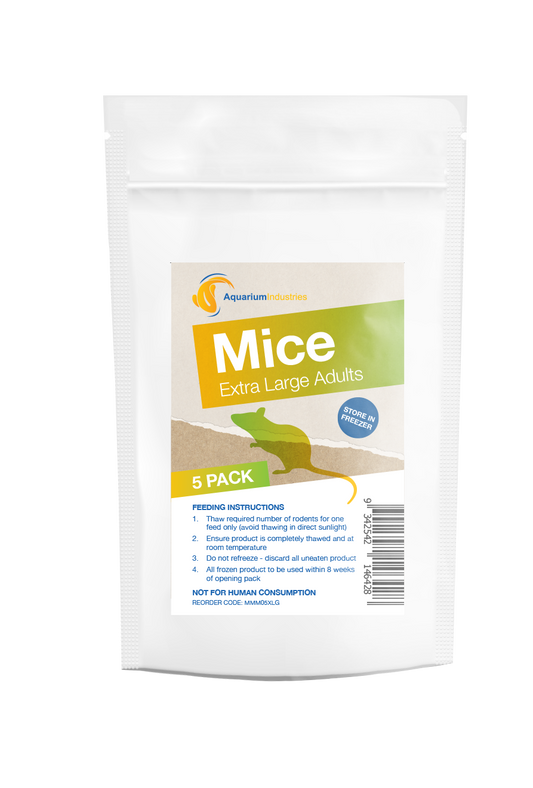 Frozen Mice X-Large Adults (5pk)