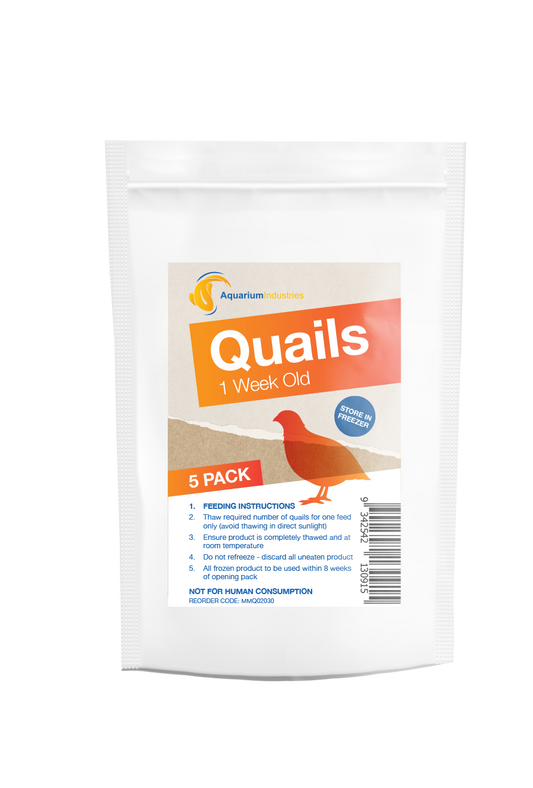 Frozen Quail 1 Week (5pk)