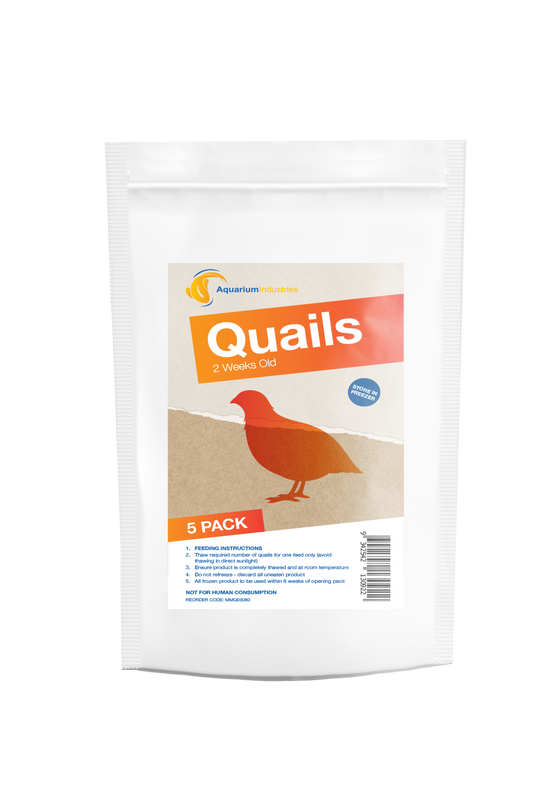 Frozen Quail 2 Week (5pk)