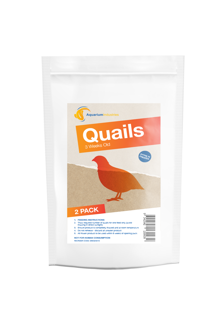 Frozen Quail 3 Week (3pk)