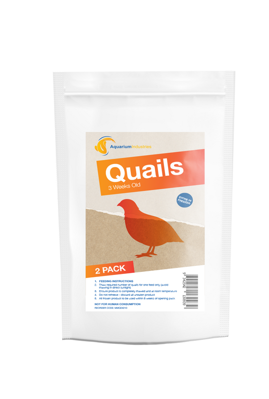 Frozen Quail 3 Week (3pk)