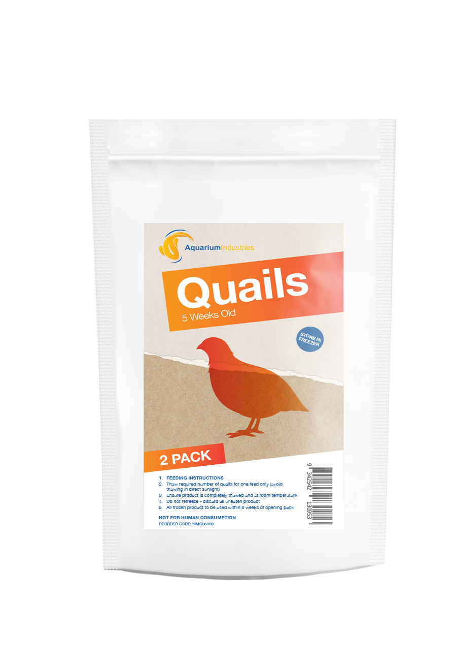 Frozen Quail 5 Week (2pk)