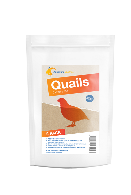 Frozen Quail 5 Week (2pk)